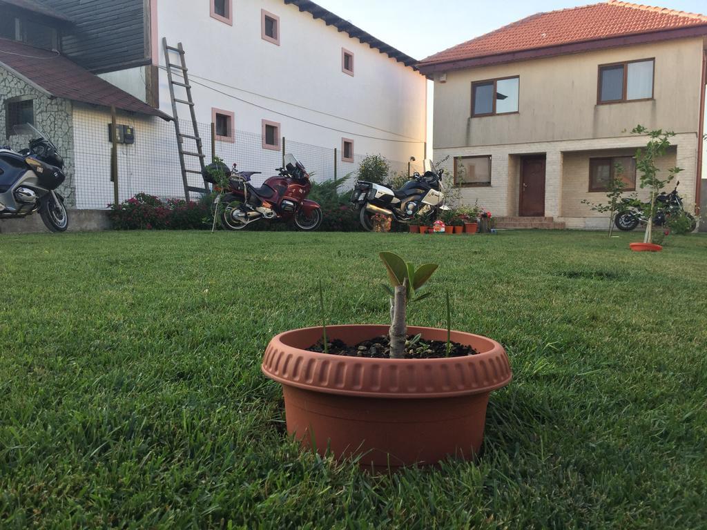 מלון ואמה וקה Casa Noastra מראה חיצוני תמונה